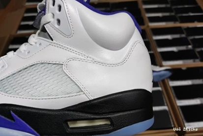 DD0587-141 CONCORD Air 587 Fashionable Jordan5 0905